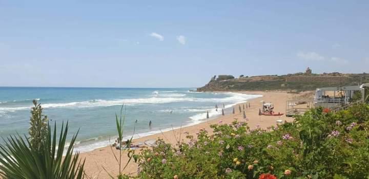 Bahari Beachfront Aparthotel Selinunte Locazione Turistica Marinella di Selinunte Esterno foto